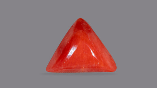 Italian Red Coral 6.19 Carats / 6.8 Ratti