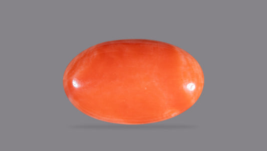 Japanese Red Coral (Moonga) 11.49 Carats / 12.63 Ratti
