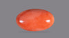 Japanese Red Coral 12.18 Carats / 13.38 Ratti