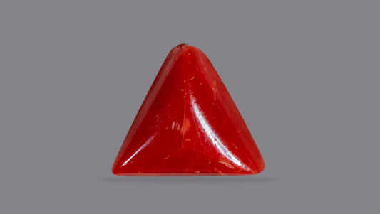 Italian Red Coral 6.06 Carats / 6.66 Ratti