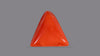 Italian Red Coral 6.23 Carats / 6.85 Ratti