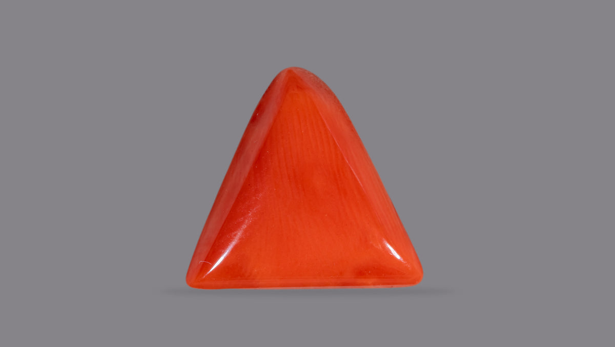 Italian Red Coral 6.23 Carats / 6.85 Ratti