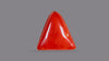 Italian Red Coral 6.30 Carats / 6.92 Ratti