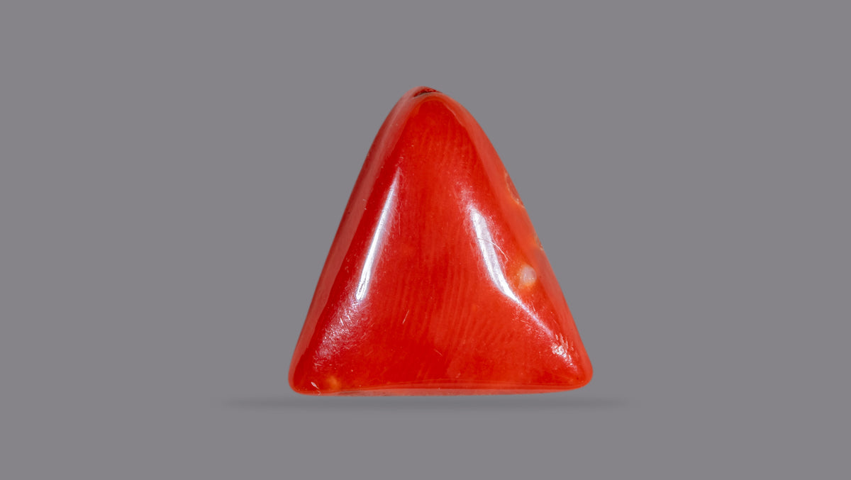 Italian Red Coral 6.30 Carats / 6.92 Ratti