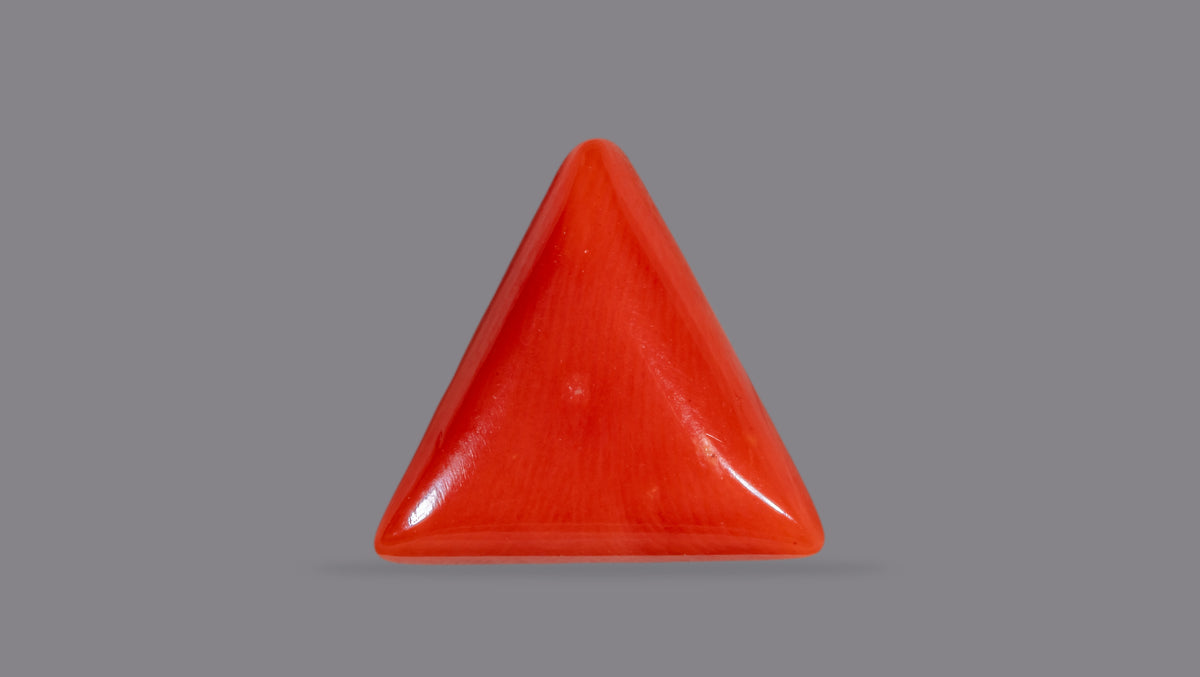 Italian Red Coral 6.48 Carats / 7.12 Ratti