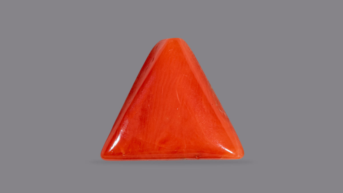 Italian Red Coral (Moonga) 6.92 Carats / 7.6 Ratti