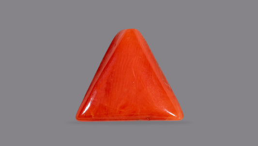 Italian Red Coral (Moonga) 6.92 Carats / 7.6 Ratti