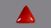 Italian Red Coral 16.79 Carats / 18.45 Ratti