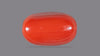 Italian Red Coral 11.54 Carats / 12.68 Ratti