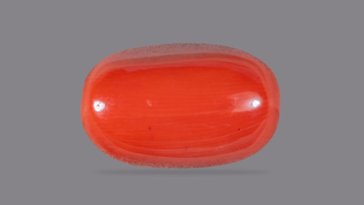 Italian Red Coral 11.54 Carats / 12.68 Ratti