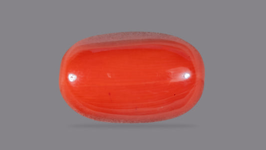 Italian Red Coral 11.54 Carats / 12.68 Ratti