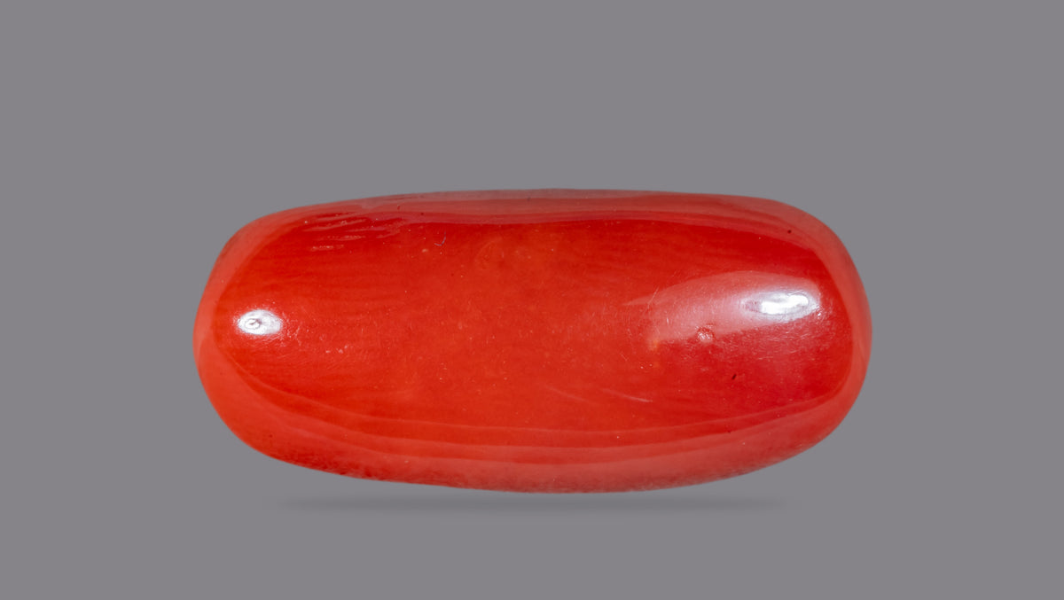 Italian Red Coral 7.44 Carats / 8.18 Ratti