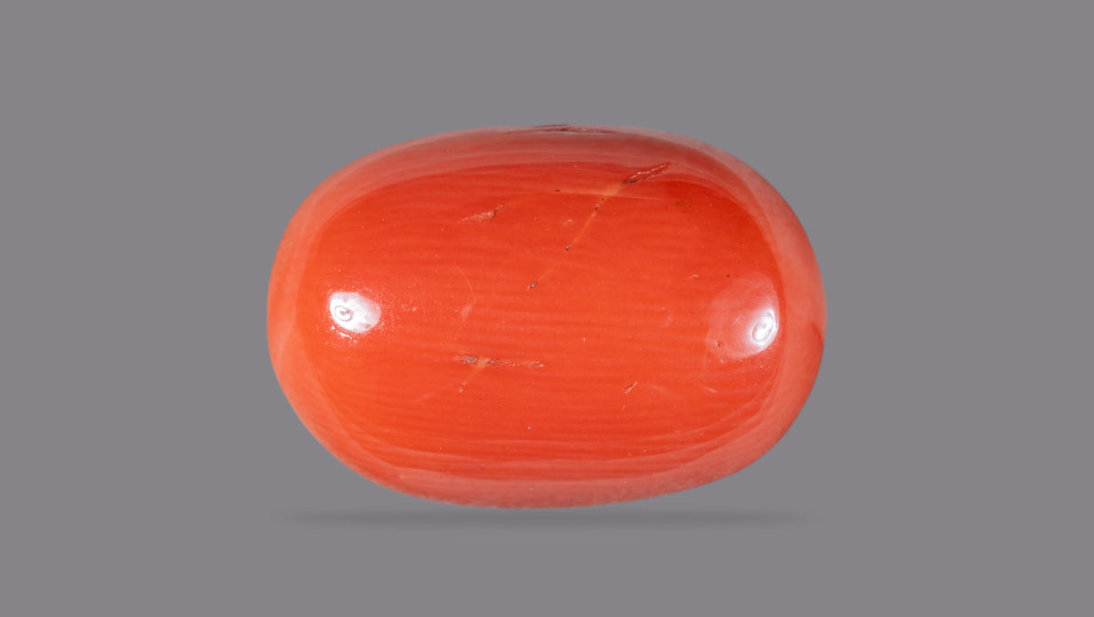 Italian Red Coral 15.43 Carats / 16.96 Ratti
