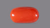 Italian Red Coral 9.55 Carats / 10.49 Ratti