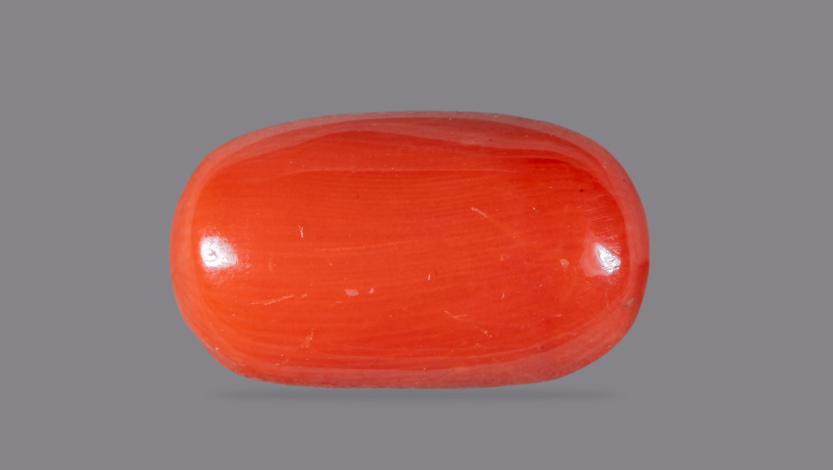 Italian Red Coral 9.55 Carats / 10.49 Ratti