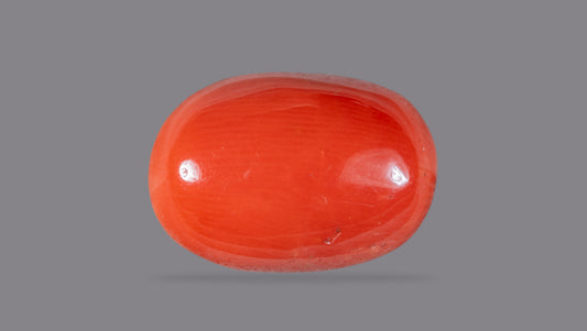 Italian Red Coral 10.08 Carats / 11.08 Ratti