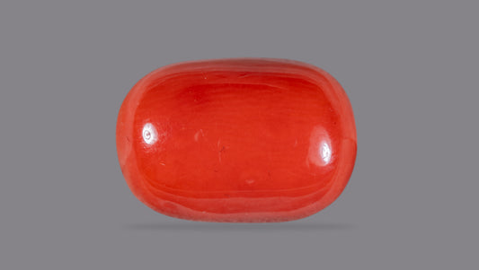 Italian Red Coral 12.63 Carats / 13.88 Ratti