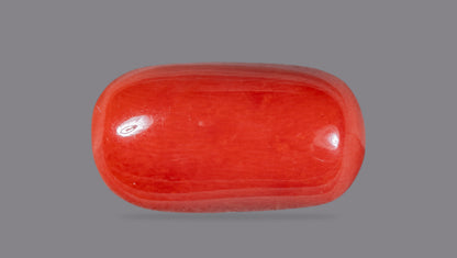 Italian Red Coral 14.25 Carats / 15.66 Ratti