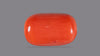 Italian Red Coral 8.61 Carats / 9.46 Ratti