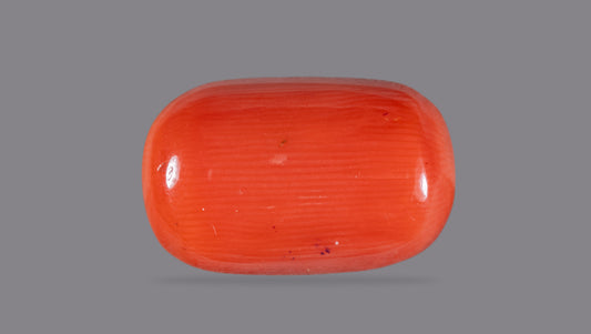 Italian Red Coral 8.61 Carats / 9.46 Ratti