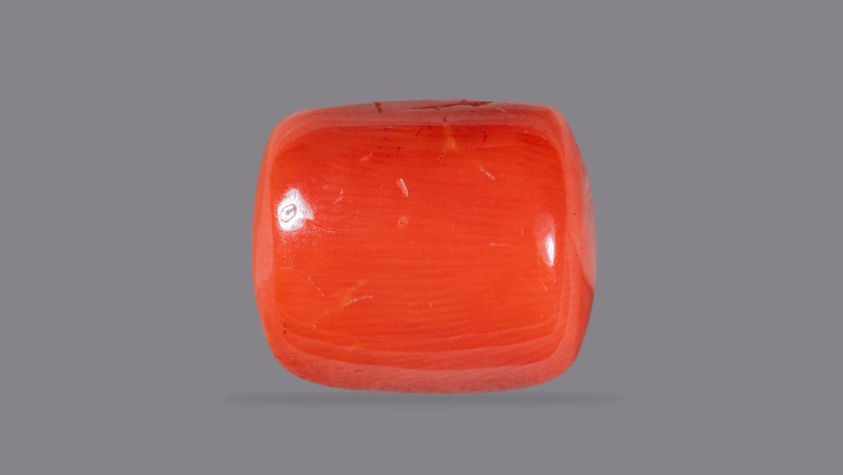 Italian Red Coral 13.52 Carats / 14.86 Ratti
