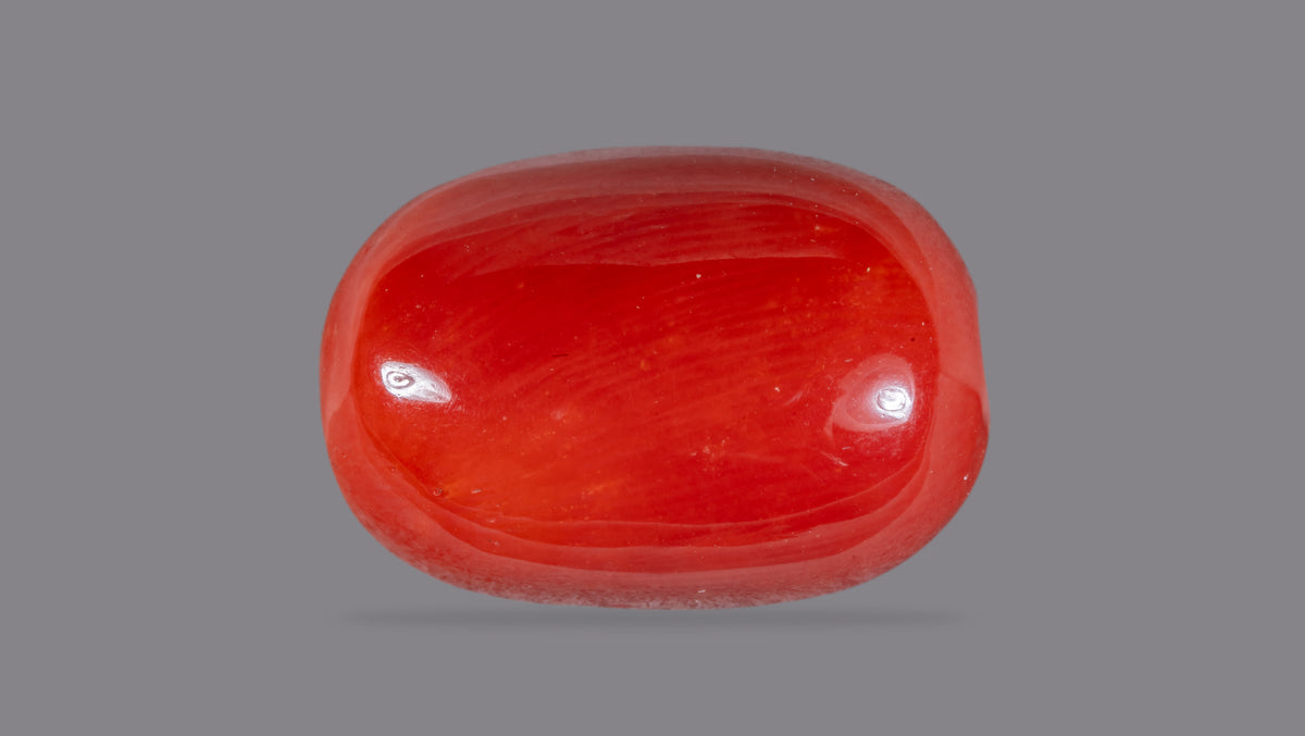 Italian Red Coral 12.43 Carats / 13.66 Ratti