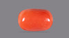 Italian Red Coral 10.59 Carats / 11.64 Ratti