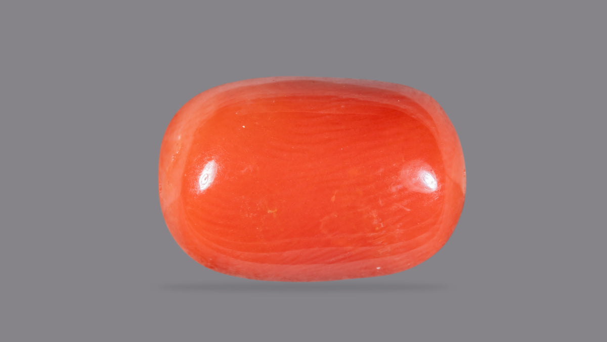 Italian Red Coral 10.59 Carats / 11.64 Ratti