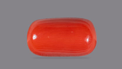 Italian Red Coral 9.98 Carats / 10.97 Ratti