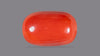Italian Red Coral 10.68 Carats / 11.74 Ratti