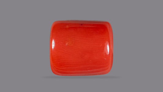 Italian Red Coral 13.95 Carats / 15.33 Ratti