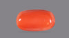 Italian Red Coral 12.60 Carats / 13.85 Ratti