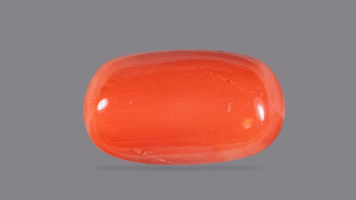 Italian Red Coral 12.60 Carats / 13.85 Ratti