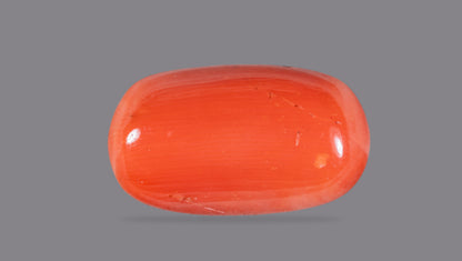 Italian Red Coral 12.60 Carats / 13.85 Ratti