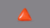 Italian Red Coral 31.46 Carats / 34.57 Ratti