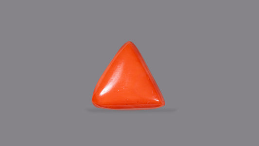Italian Red Coral 31.46 Carats / 34.57 Ratti
