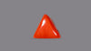 Natural Red Coral 29.38 Carats / 32.29 Ratti