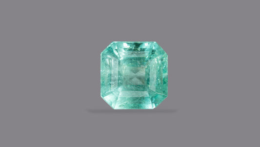 Columbian Emerald (Panna) 8.09 Carats / 8.89 Ratti