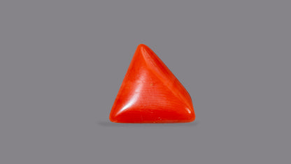 Italian Red Coral (Moonga) 4.10 Carats / 4.51 Ratti