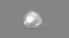 Venezuela Pearl7.05 Carats / 7.75 Ratti