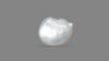 Venezuela Pearl8.29 Carats / 9.11 Ratti