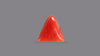 Italian Red Coral 5.98 Carats / 6.57 Ratti