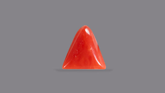 Italian Red Coral 5.98 Carats / 6.57 Ratti