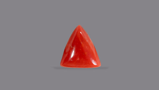 Italian Red Coral 5.32 Carats / 5.85 Ratti