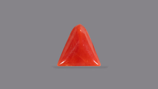 Italian Red Coral 5.18 Carats / 5.69 Ratti