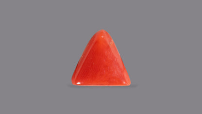 Italian Red Coral 5.04 Carats / 5.54 Ratti