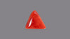 Italian Red Coral 5.29 Carats / 5.81 Ratti