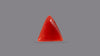 Italian Red Coral 5.14 Carats / 5.65 Ratti