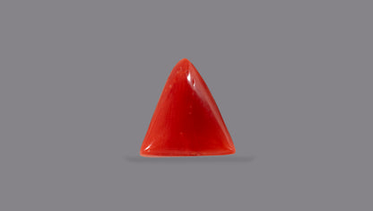 Italian Red Coral 5.14 Carats / 5.65 Ratti