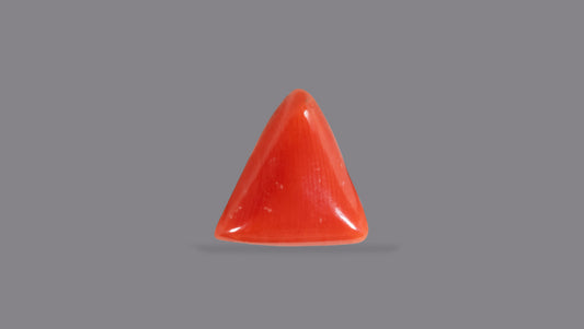 Italian Red Coral 5.10 Carats / 5.6 Ratti